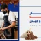 بازار کار باریستا، بررسی آماری بر اساس داده‌های بهار ۱۴۰۴